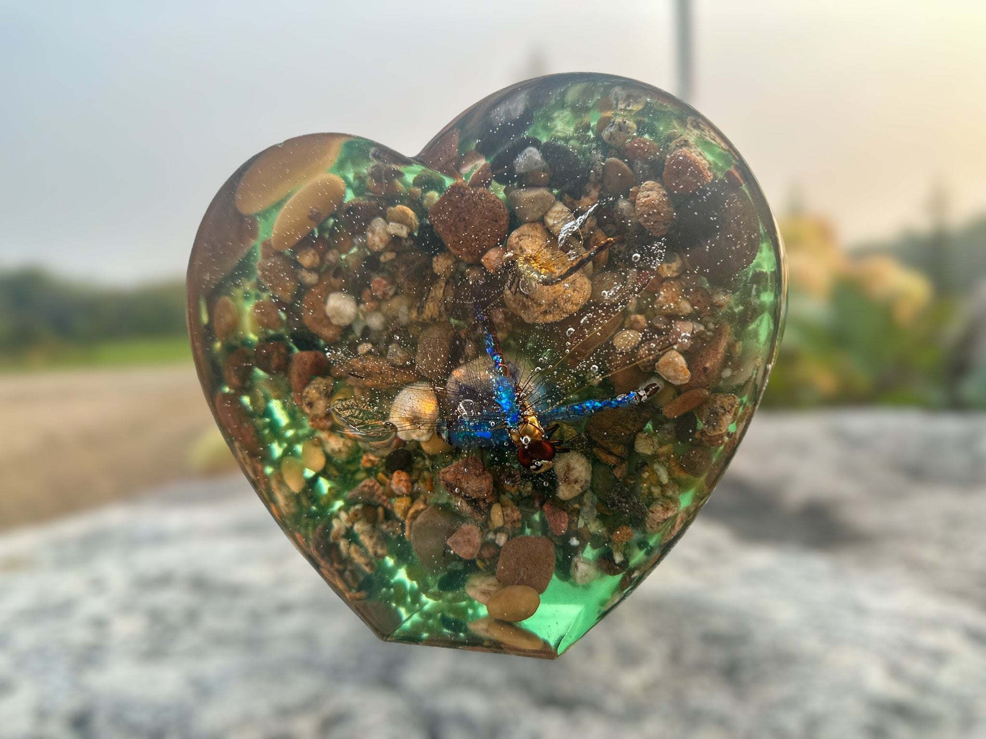 Dragonfly Heart - Nature Inspired Handmade Home Decor with LED Light