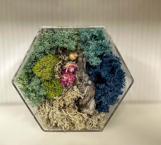 Moss Art - Mini Hexagon Forests with real Dried Flowers & Moss