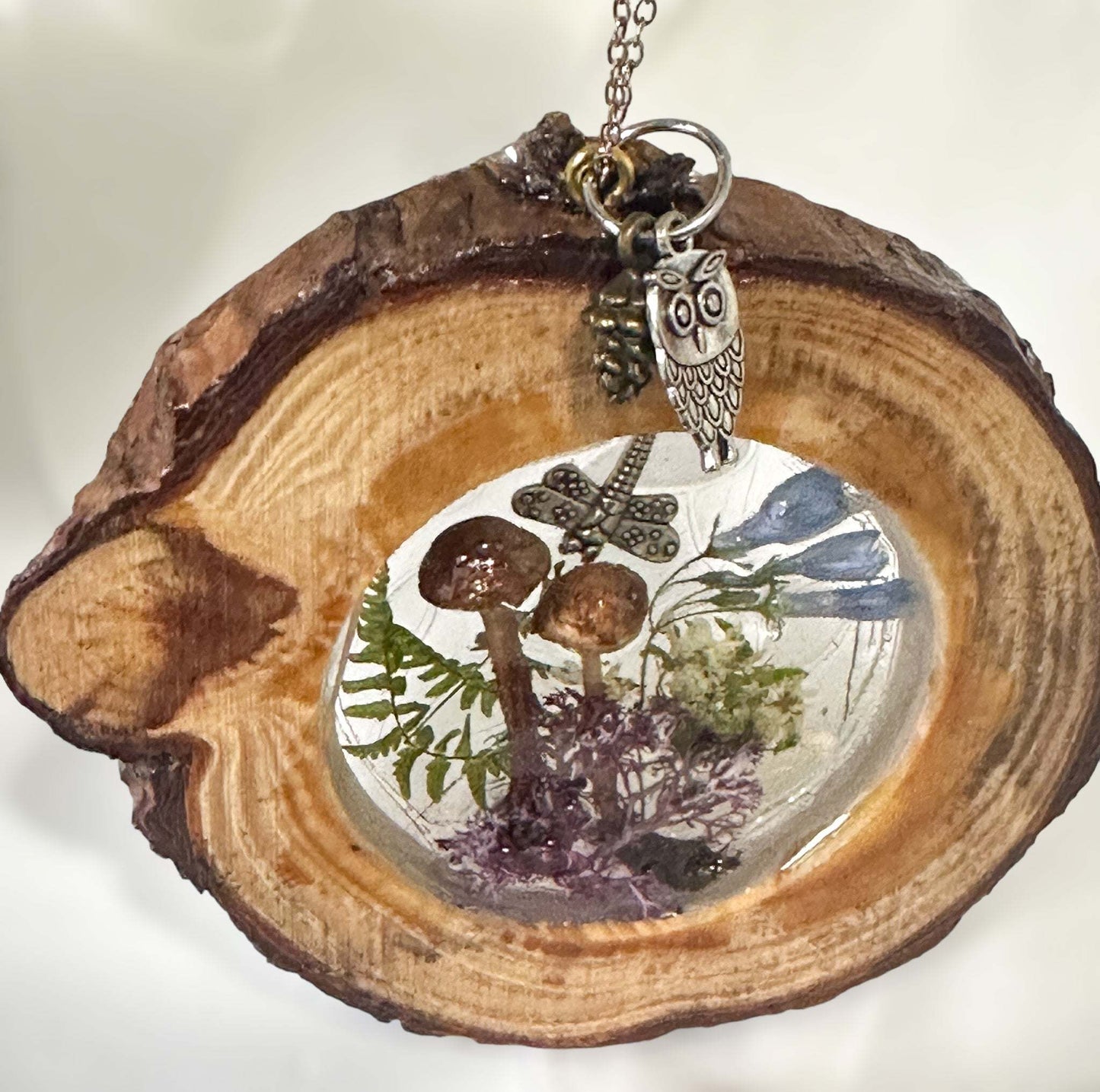 Enchanted Forest Wood Suncatcher - Real Dried Flowers and Mushrooms
